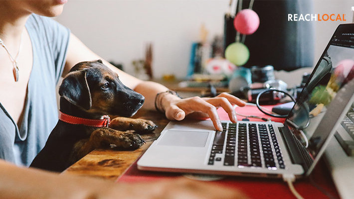 Woman updates her businesses online presence whilst working from home with her dog.