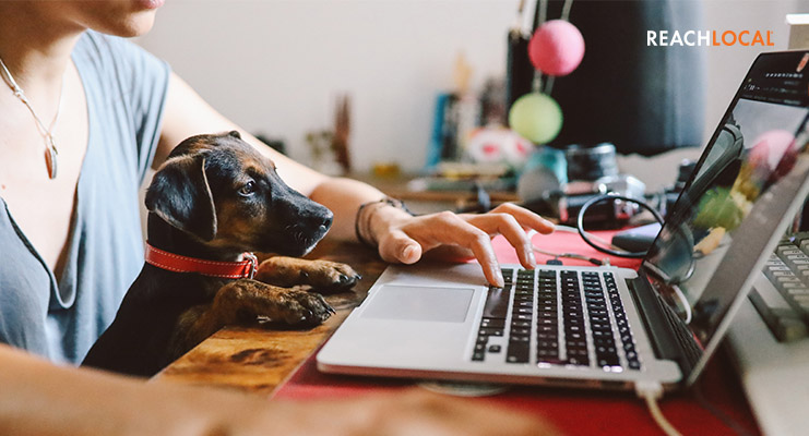 Woman updates her businesses online presence whilst working from home with her dog.